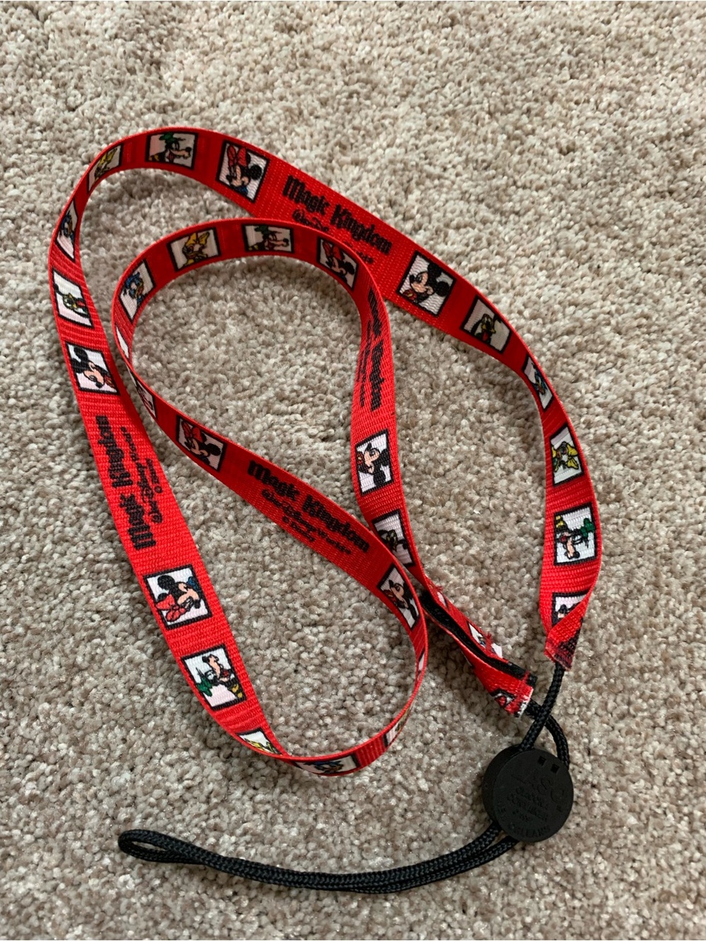 Walt Disney World MAGIC KINGDOM Lanyard LASO Giacona Container Mickey Mouse 1997